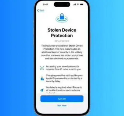 桐庐苹果授权维修店分享被盗设备保护功能开启方法 