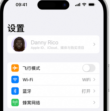 桐庐appleID维修服务iPhone设置中Apple ID显示为灰色无法使用