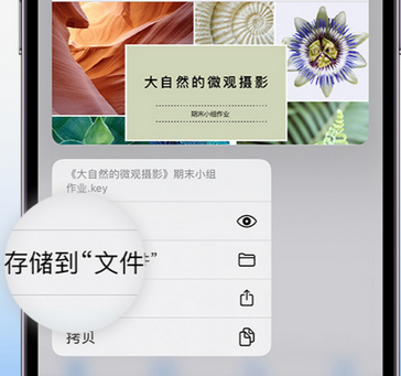 桐庐apple维修中心分享iPhone文件应用中存储和找到下载文件