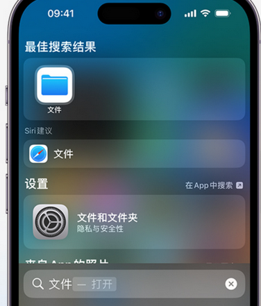 桐庐apple维修中心分享iPhone文件应用中存储和找到下载文件