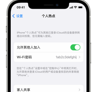 桐庐apple服务站点分享iPhone上个人热点丢失了怎么办