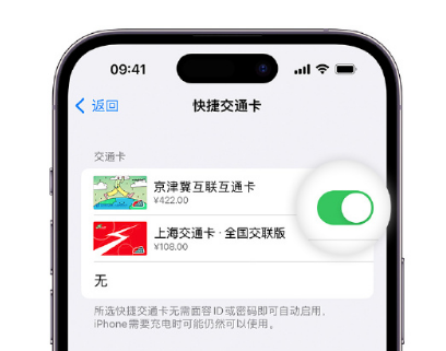 桐庐apple维修点分享iPhone上更换Apple Pay快捷交通卡手绘卡面 