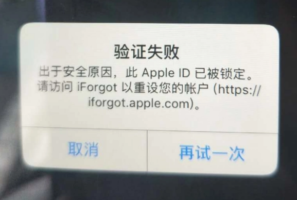 桐庐iPhone维修分享iPhone上正常登录或使用AppleID怎么办 