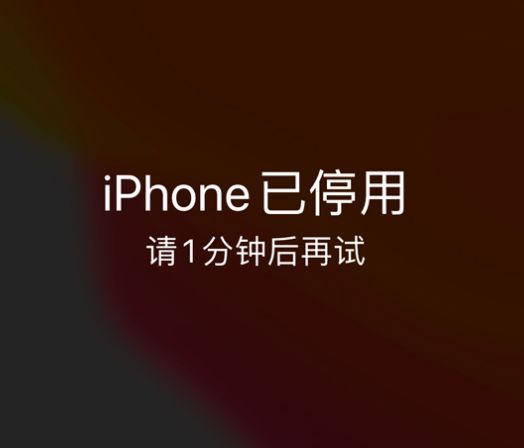 桐庐苹果手机维修分享:iPhone 显示“不可用”或“已停用”怎么办？还能保留数据吗？ 