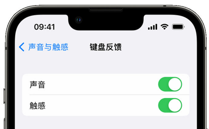 桐庐苹果手机维修分享iPhone 14触感键盘使用方法 