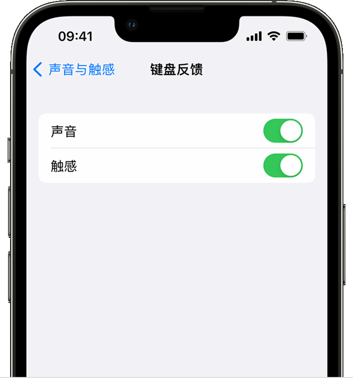 桐庐苹果14维修店分享如何在 iPhone 14 机型中使用触感键盘 