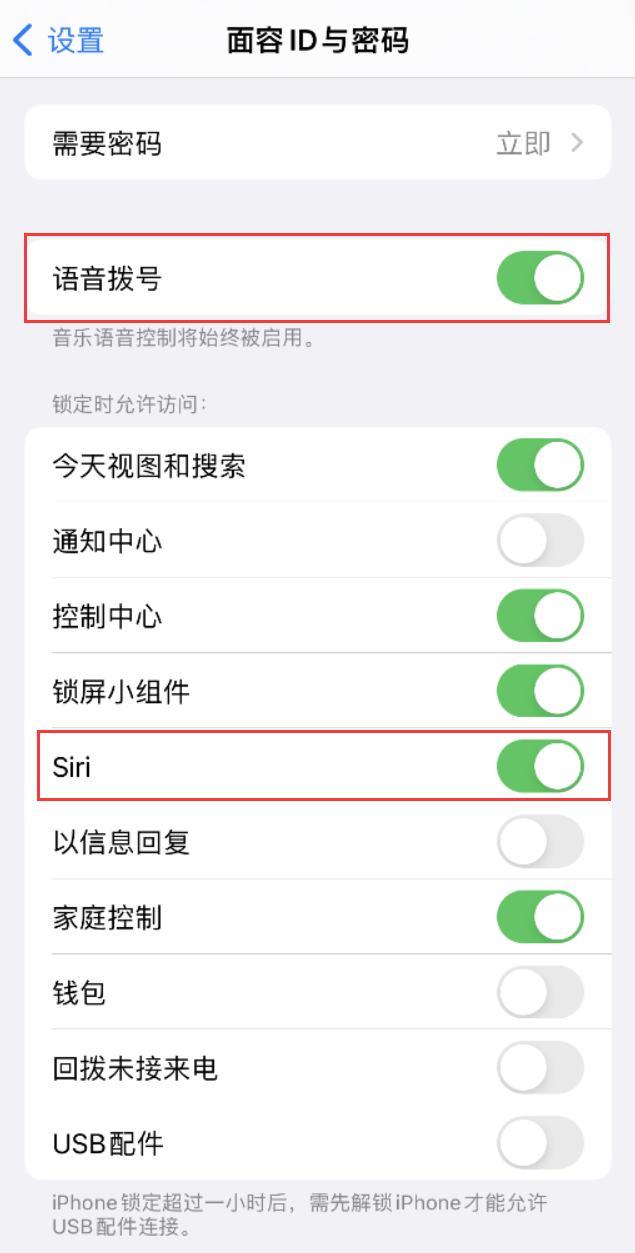 桐庐苹果维修网点分享不解锁 iPhone 的情况下通过 Siri 拨打电话的方法 