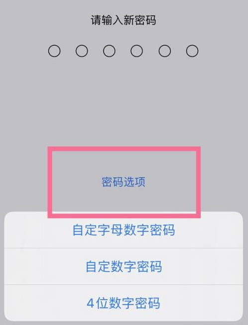 桐庐苹果14维修分享iPhone 14plus设置密码的方法 