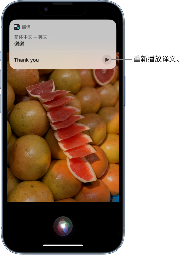 桐庐苹果14维修分享 iPhone 14 机型中使用 Siri：了解 Siri 能帮你做什么 